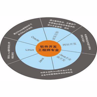 软件开发