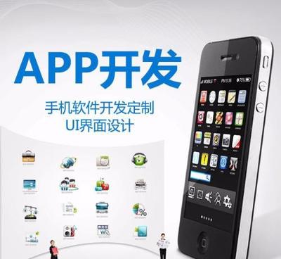 软件开发